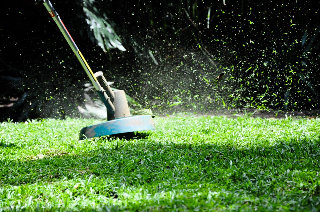 Whipper-snipper trimming a lawn edge