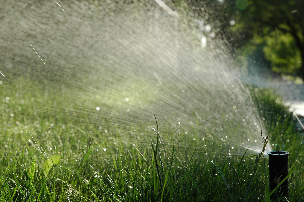 Reticulation sprinkler watering a green lawn