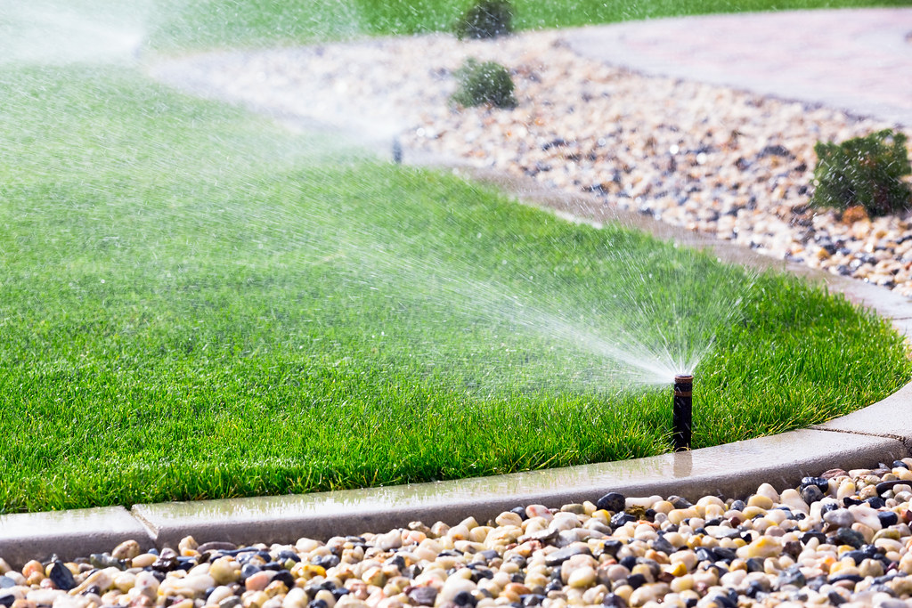 Garden sprinkler watering a lawn edged with a pebble garden bed